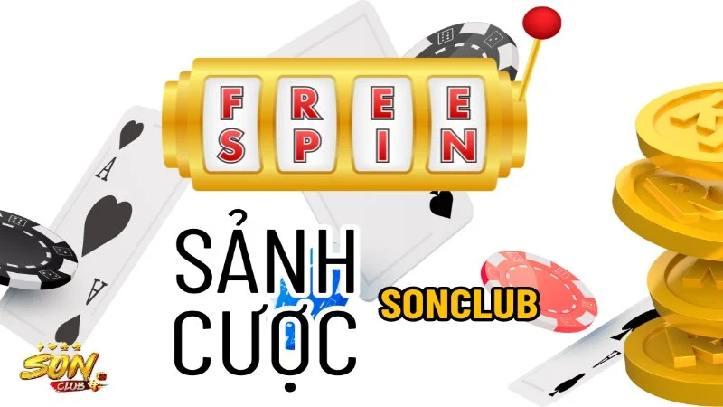 Có sự hiểu biết về sảnh cá cược hàng đầu