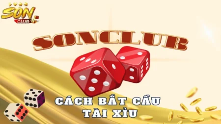 cach bat cau tai xiu danh cho cuoc thu