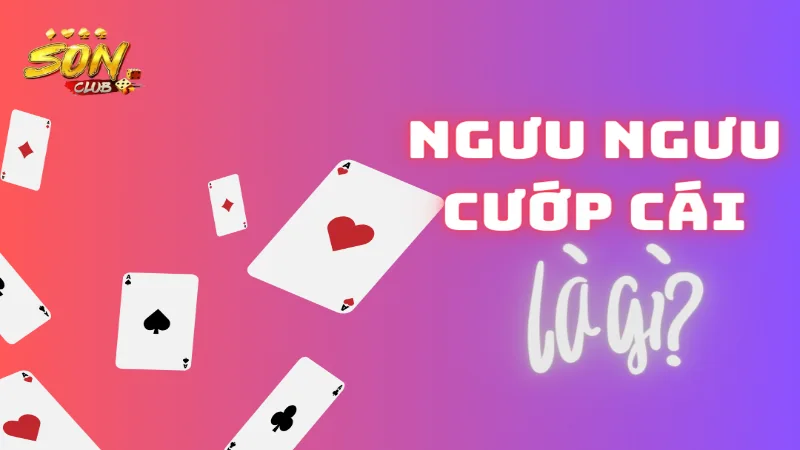 Ngưu ngưu cướp cái là gì?